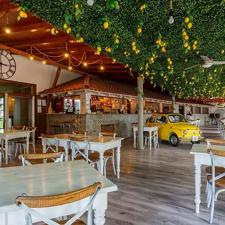 Hotel Holiday Hotel Siofok
